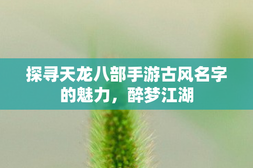 探寻天龙八部手游古风名字的魅力图片