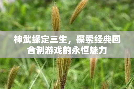 探索经典回合制游戏的永恒魅力图片