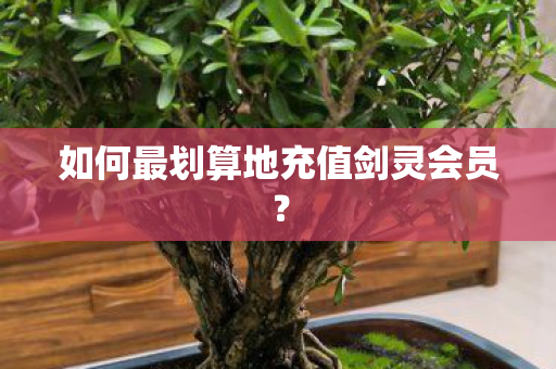 如何最划算地充值剑灵会员图片