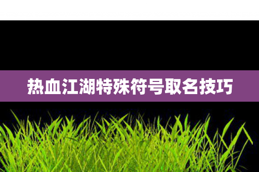 热血江湖特殊符号取名技巧图片