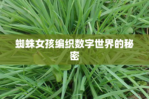 蜘蛛女孩编织数字世界的秘密图片