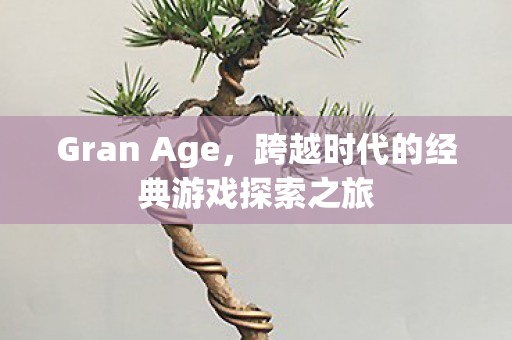 跨越时代的经典游戏探索之旅图片