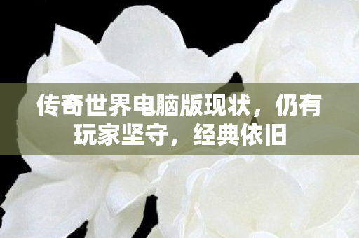 传奇世界电脑版现状图片