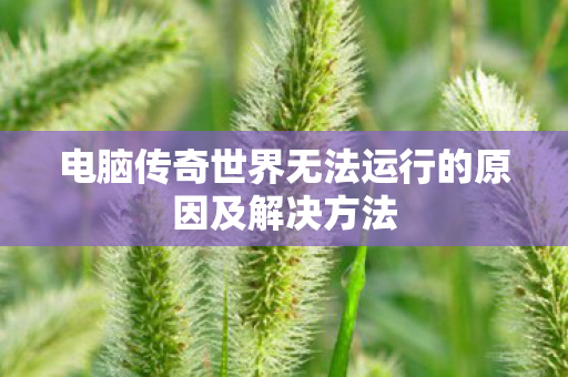 电脑传奇世界无法运行的原因及解决方法图片