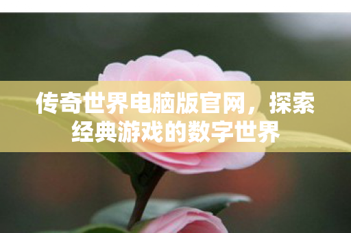 探索经典游戏的数字世界图片