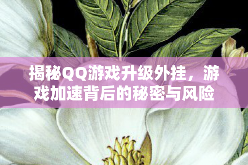 游戏加速背后的秘密与风险图片