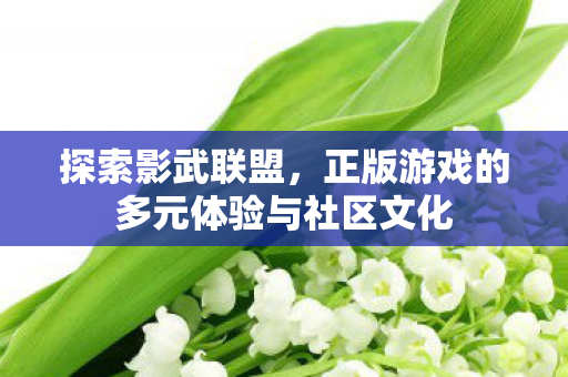 正版游戏的多元体验与社区文化图片