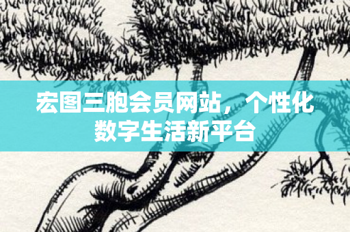 个性化数字生活新平台图片