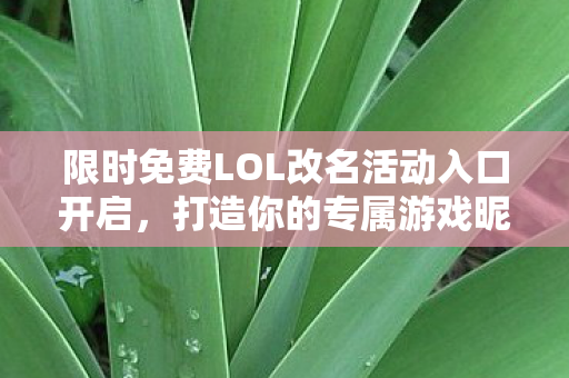限时免费LOL改名活动入口开启图片