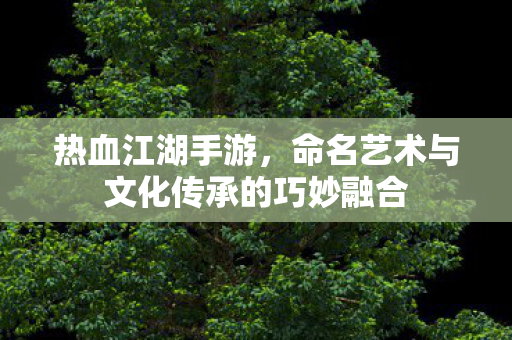 命名艺术与文化传承的巧妙融合图片