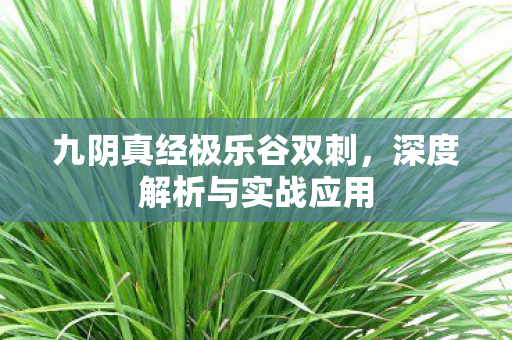 九阴真经极乐谷双刺图片