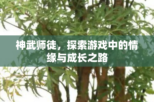 探索游戏中的情缘与成长之路图片