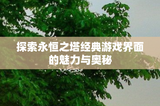 探索永恒之塔经典游戏界面的魅力与奥秘图片