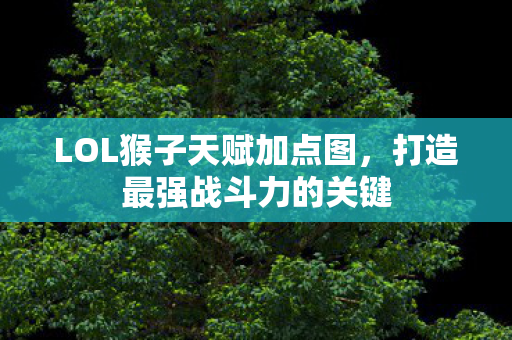 LOL猴子天赋加点图图片