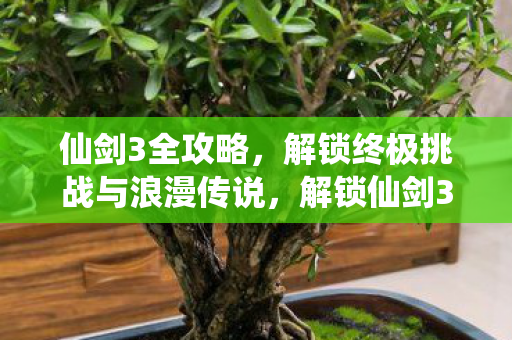 仙剑3全攻略,解锁终极挑战与浪漫传说,解锁仙剑3终极挑战与浪漫传说全攻略 仙剑3全攻略,解锁终极挑战与浪漫传说,解锁仙剑3终极挑战与浪漫传说全攻略