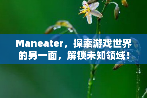 探索游戏世界的另一面图片