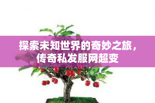 探索未知世界的奇妙之旅图片