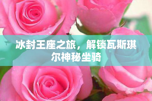 解锁瓦斯琪尔神秘坐骑图片