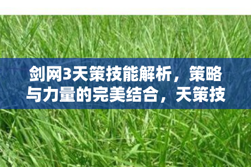 剑网3天策技能解析，策略与力量的完美结合，天策技能解析，策略与力量的完美结合