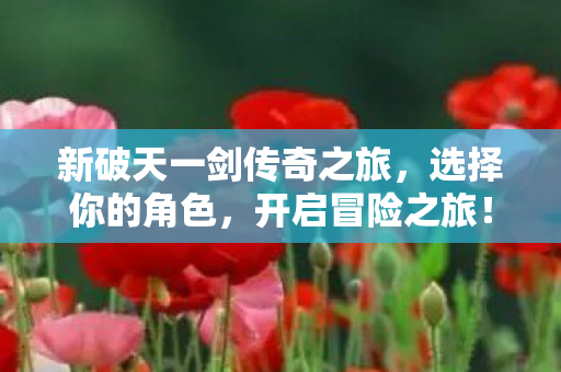 新破天一剑传奇之旅图片