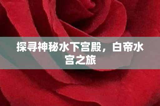 探寻神秘水下宫殿图片