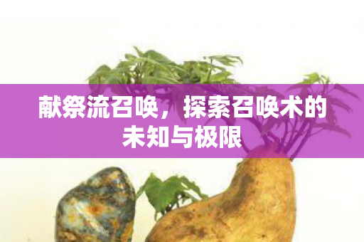 探索召唤术的未知与极限图片