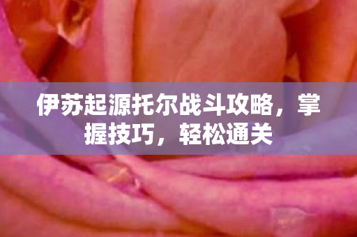 伊苏起源托尔战斗攻略图片