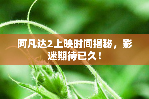 阿凡达2上映时间揭秘图片