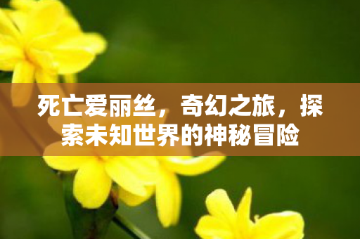探索未知世界的神秘冒险图片