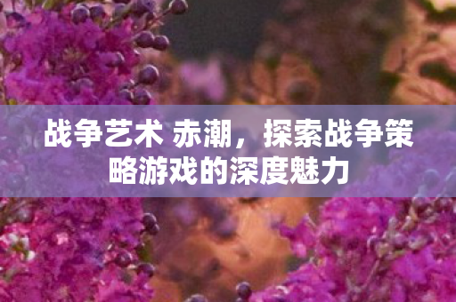 探索战争策略游戏的深度魅力图片