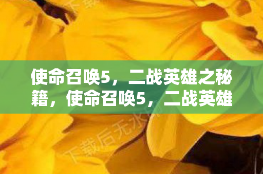 二战英雄秘籍全解析图片