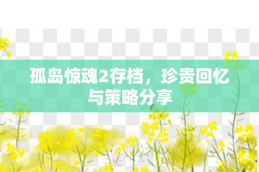 珍贵回忆与策略分享图片