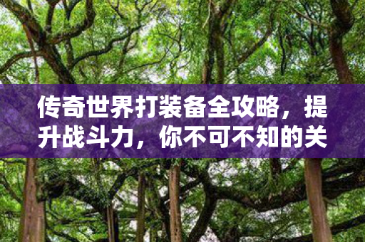 传奇世界打装备全攻略图片