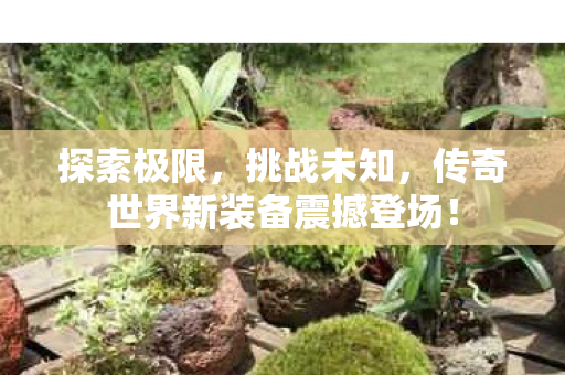 传奇世界新装备震撼登场图片