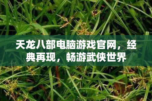 天龙八部电脑游戏官网图片