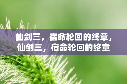 宿命轮回的终章图片