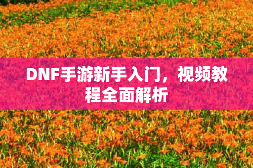 DNF手游新手入门图片