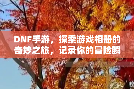 探索游戏相册的奇妙之旅图片