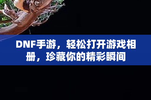 轻松打开游戏相册图片
