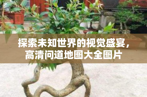探索未知世界的视觉盛宴图片