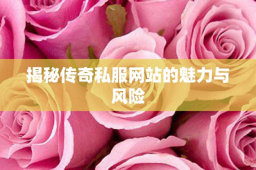 揭秘传奇私服网站的魅力与风险图片