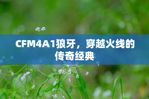 穿越火线的传奇经典图片