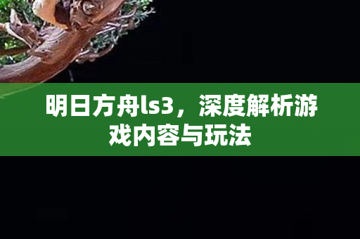 深度解析游戏内容与玩法图片