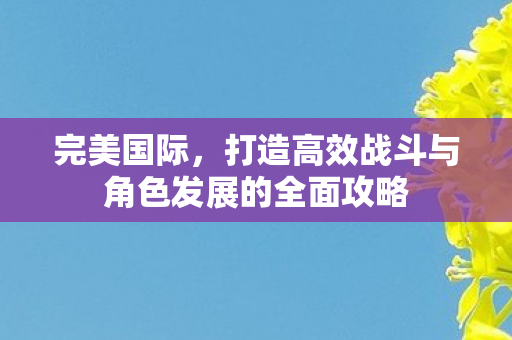 打造高效战斗与角色发展的全面攻略图片