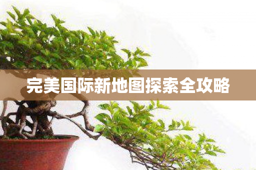 完美国际新地图探索全攻略图片