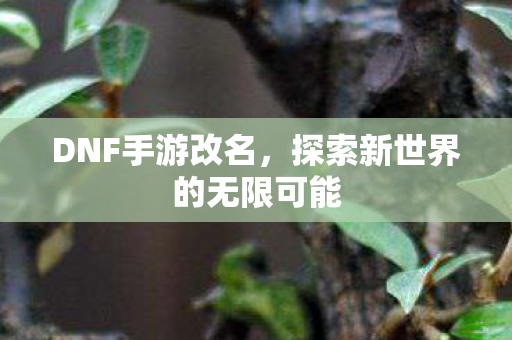 探索新世界的无限可能图片