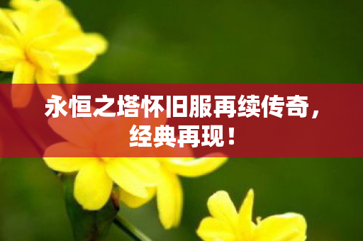永恒之塔怀旧服再续传奇图片