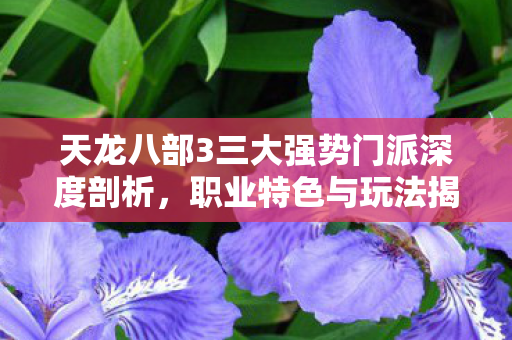 天龙八部3三大强势门派深度剖析图片