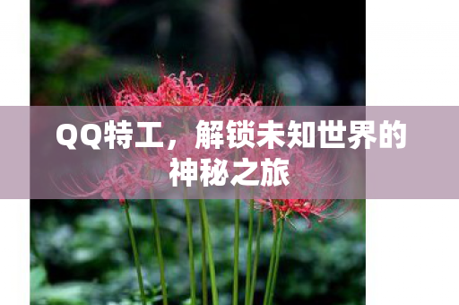 解锁未知世界的神秘之旅图片