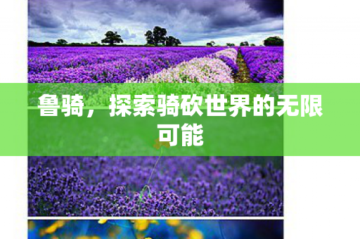 探索骑砍世界的无限可能图片